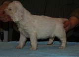 Girl_PinkBack_5weeks_i