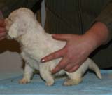 Girl_PinkBack_5weeks_j