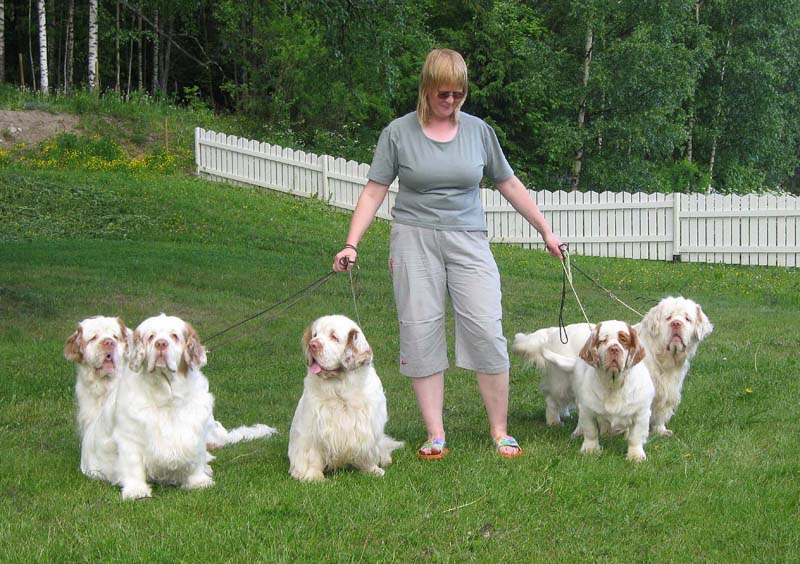 Snow_Speedy_Vito_Napo_Reno