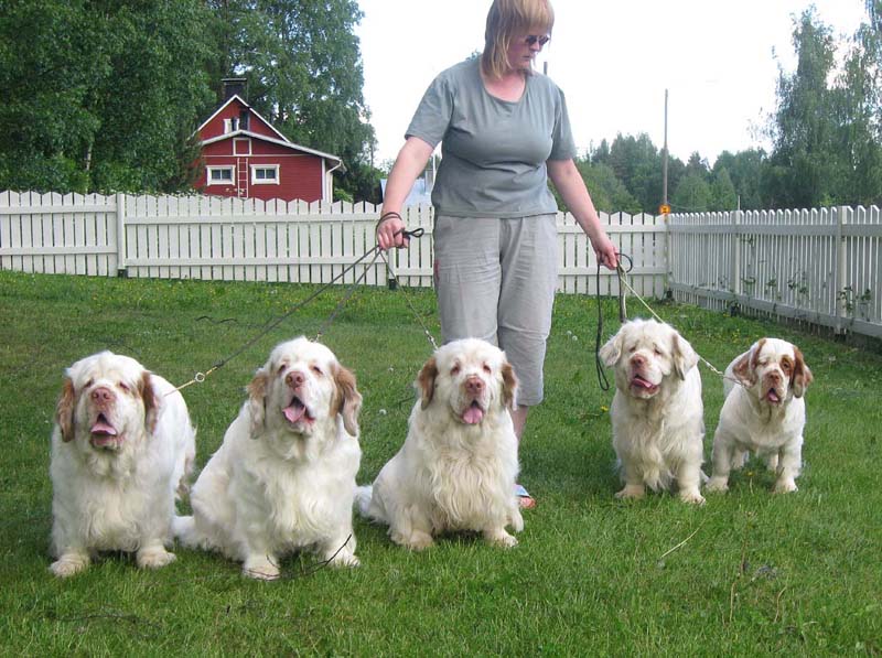 Snow_Speedy_Vito_Napo_Reno_d