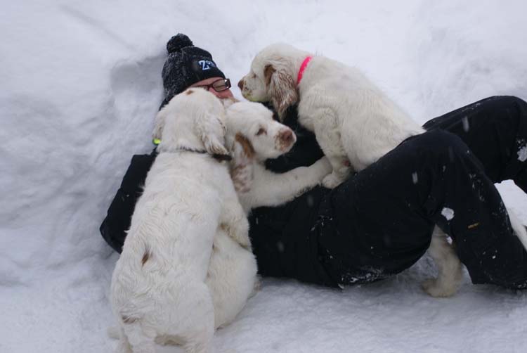 Ira_LooneyTunesPups_14weeks_c