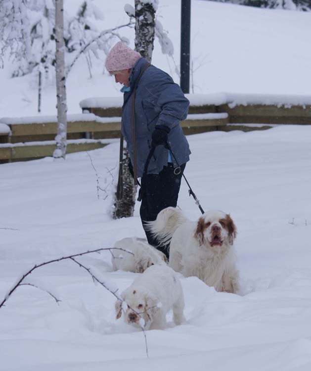 Petunia_14weeks_Tage_a