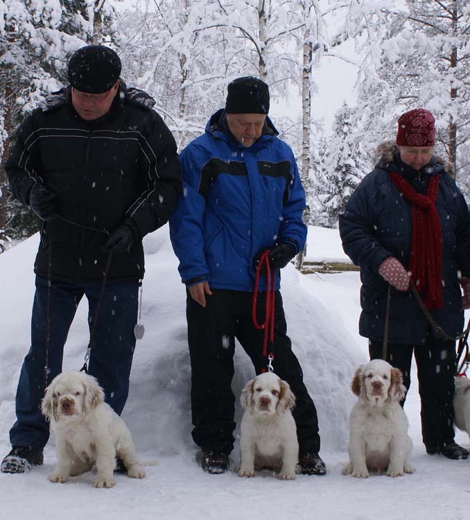 Zorro_Tyyne_Alvin_14weeks