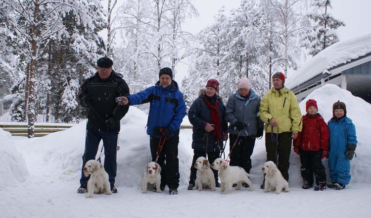 Zorro_Tyyne_Alvin_Thelma_Petunia_14weeks