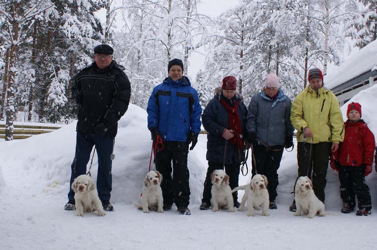 Zorro_Tyyne_Alvin_Thelma_Petunia_14weeks_d