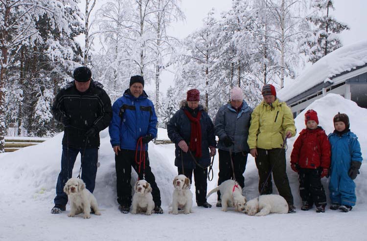 Zorro_Tyyne_Alvin_Thelma_Petunia_14weeks_e