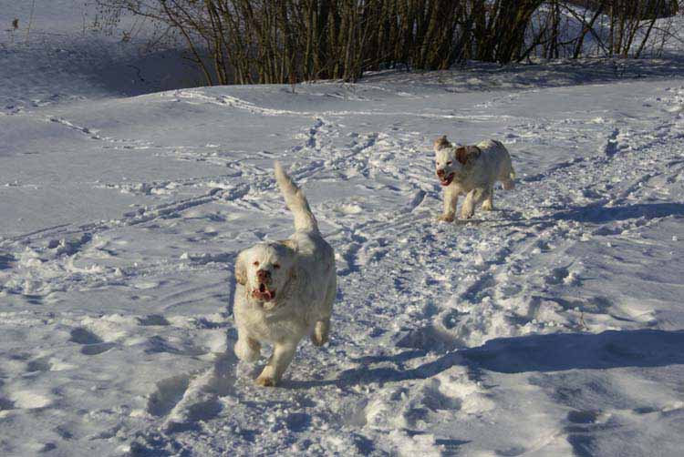 Petunia_Thelma_5,5months_b