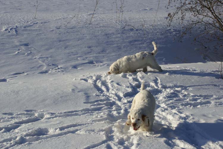 Petunia_Thelma_5,5months_e