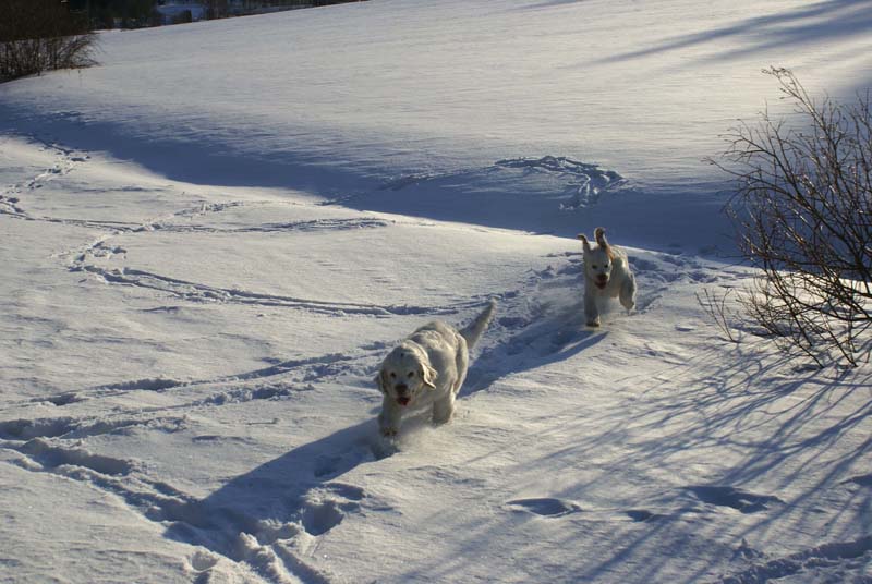 Petunia_Thelma_5,5months_g