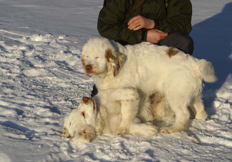 Thelma_Petunia_5,5months_b