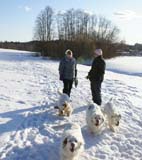 Cotton_Bumbaa_Hilla_Tage_Thelma