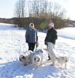 Cotton_Bumbaa_Tage_Thelma_Petunia