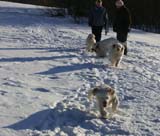 Thelma_Petunia_5,5months_Cotton_Tage_a