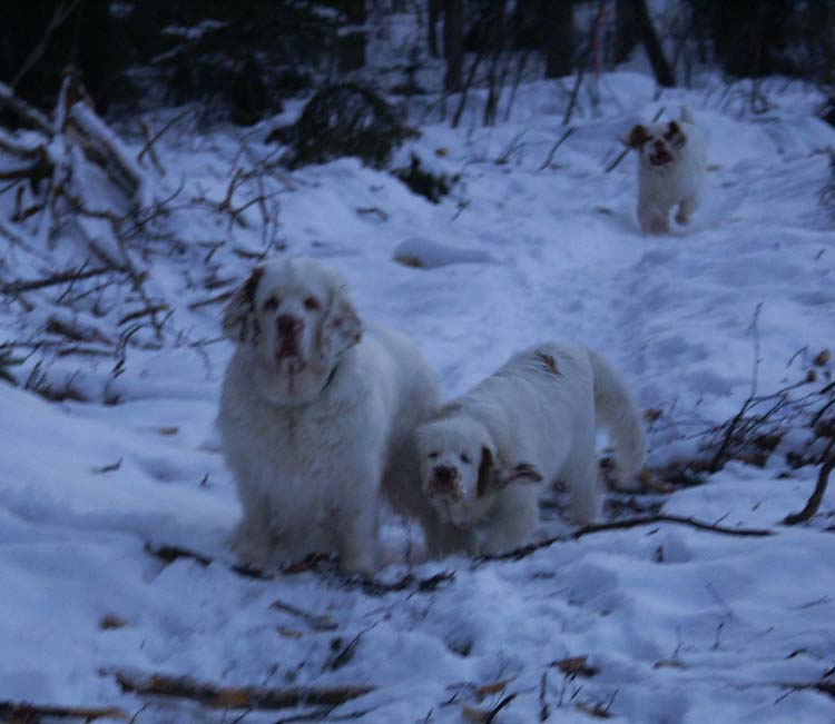 Thelma_5months_Cotton_Tage