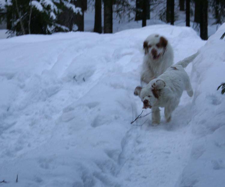 Thelma_5months_e_Tage