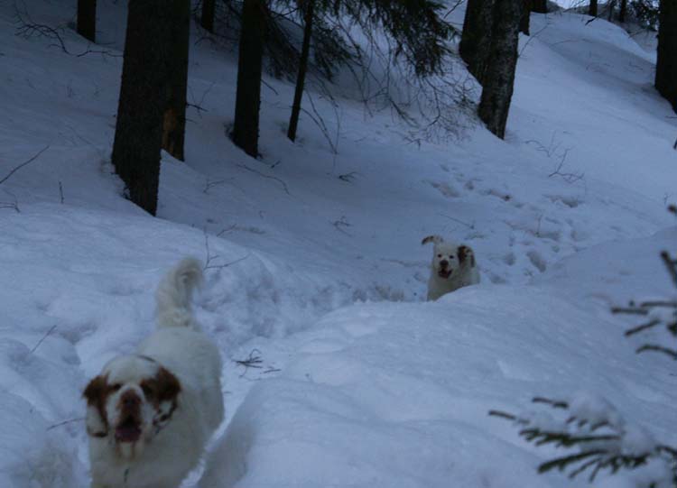 Thelma_5months_f_Tage