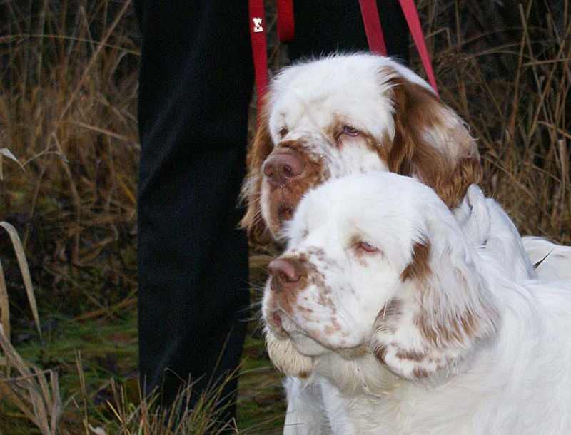 Vieno_5months_j_Onni_c