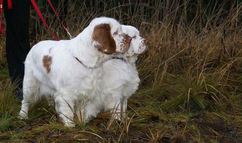 Vieno_5months_j_Onni_d