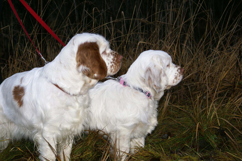 Vieno_5months_j_Onni_e