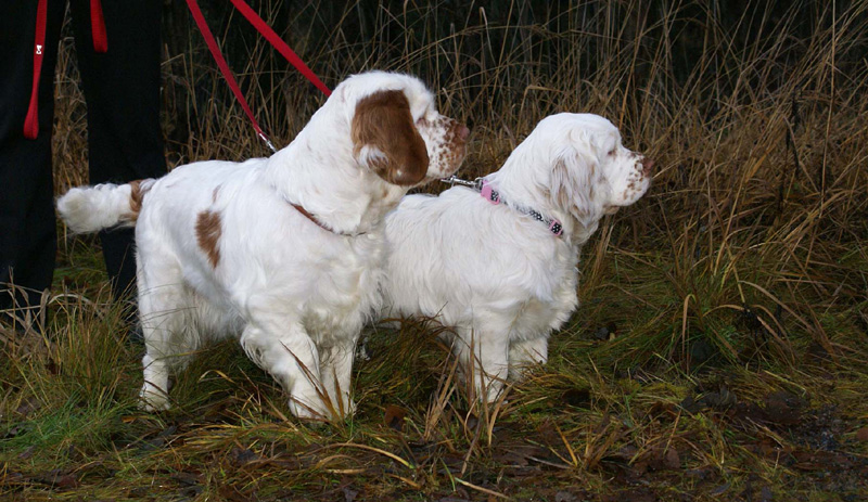 Vieno_5months_j_Onni_g