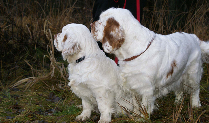 Vieno_5months_j_Onni_h