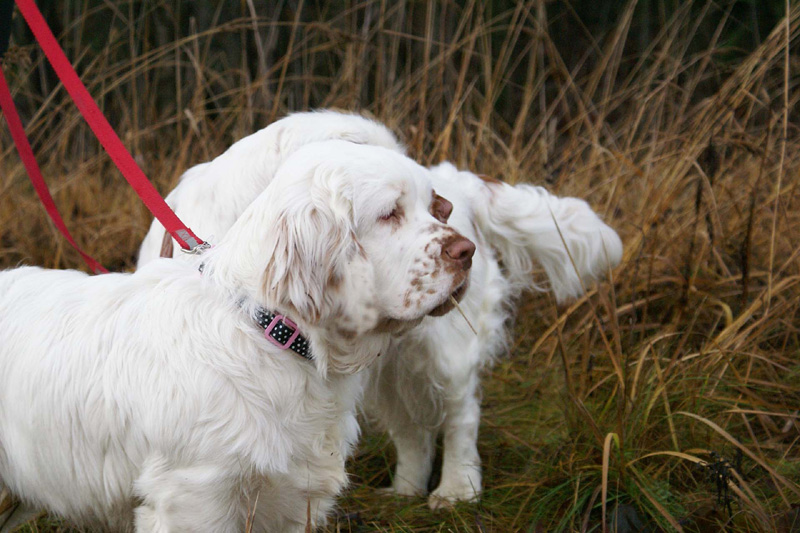 Vieno_5months_j_Onni_i