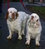 Vieno_5months_j_Onni_f