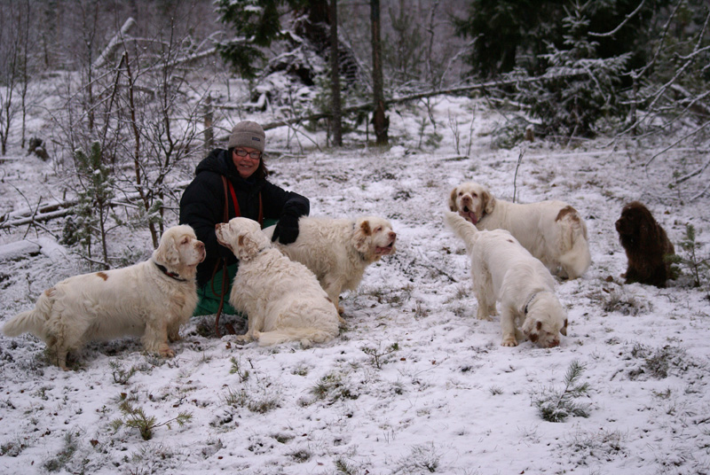 Ira_Sisi_Tiana_Vieno_Hilla_Bumbaa_Cotton_07122013_a