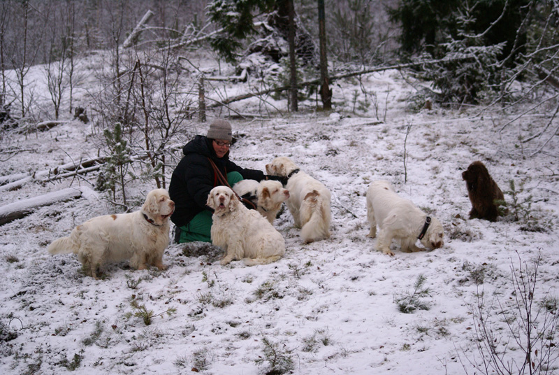 Ira_Sisi_Tiana_Vieno_Hilla_Bumbaa_Cotton_07122013_b