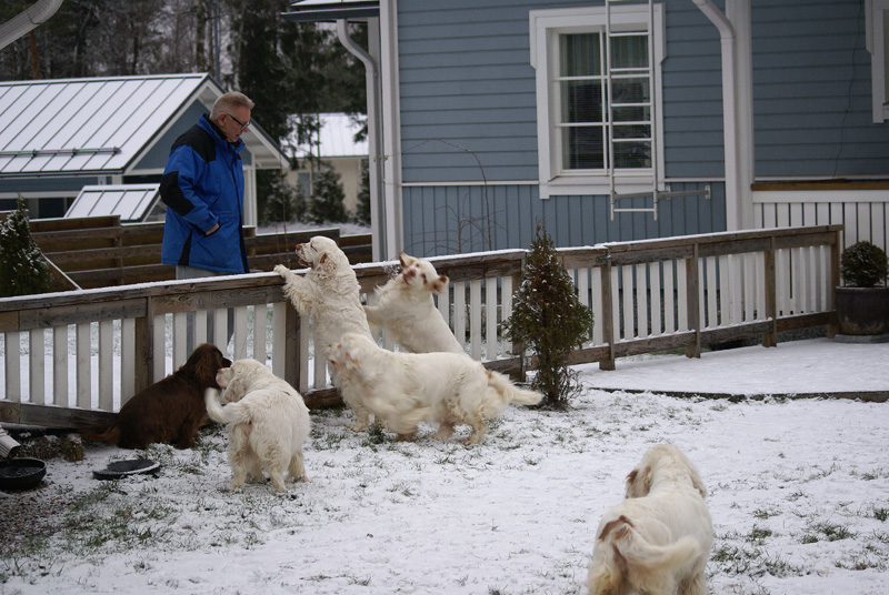 Sisi_Tiana_Vieno_Hilla_Bumbaa_Cotton_07122013_a