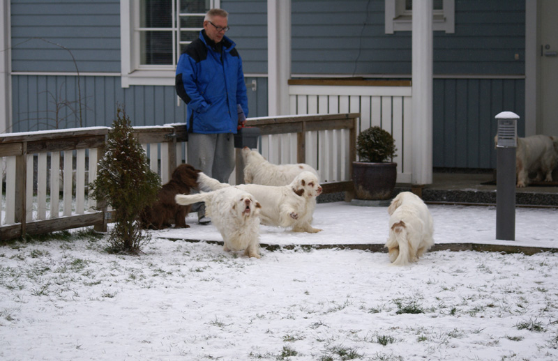 Sisi_Tiana_Vieno_Hilla_Bumbaa_Cotton_07122013_b