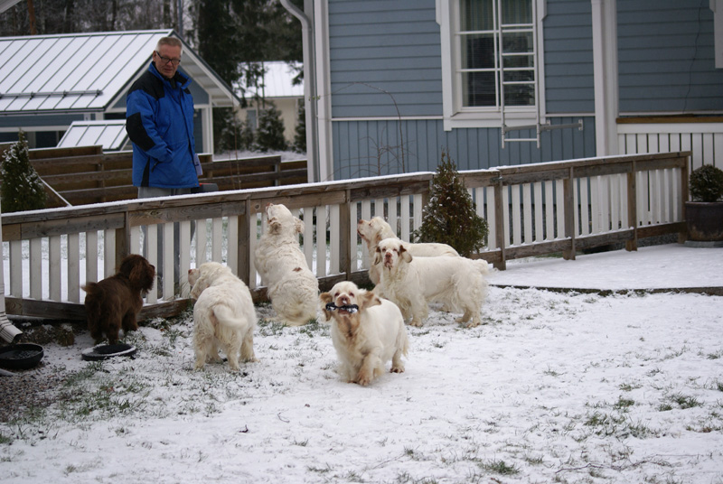 Sisi_Tiana_Vieno_Hilla_Bumbaa_Cotton_07122013_c