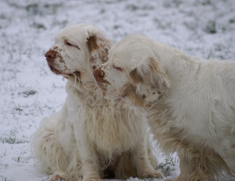 x_Hilla_Vieno_07122013_a