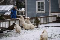 Sisi_Tiana_Vieno_Hilla_Bumbaa_Cotton_07122013_a