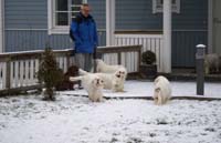 Sisi_Tiana_Vieno_Hilla_Bumbaa_Cotton_07122013_b