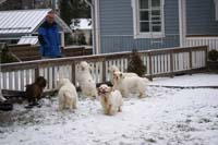 Sisi_Tiana_Vieno_Hilla_Bumbaa_Cotton_07122013_c