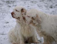 x_Hilla_Vieno_07122013_a