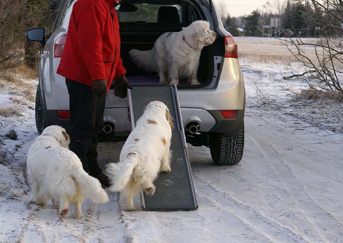 Bumbaa_Windy_Cotton_5Jan2009