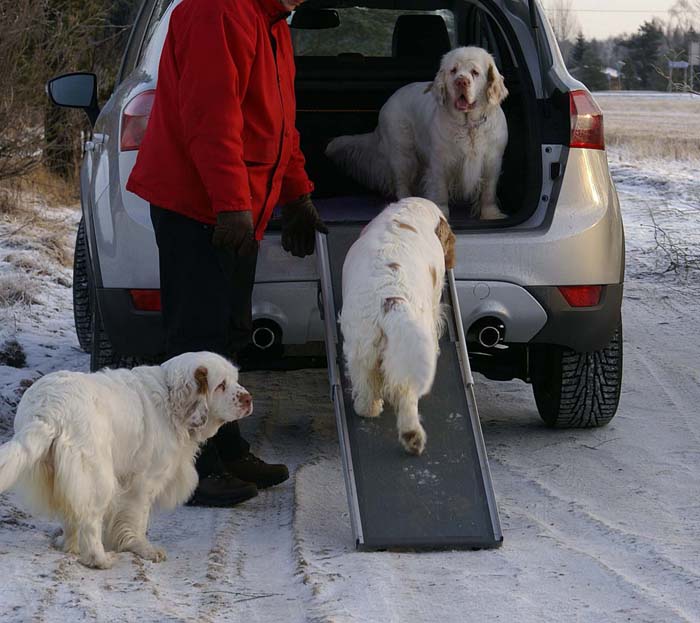 Bumbaa_Windy_Cotton_5Jan2009_b