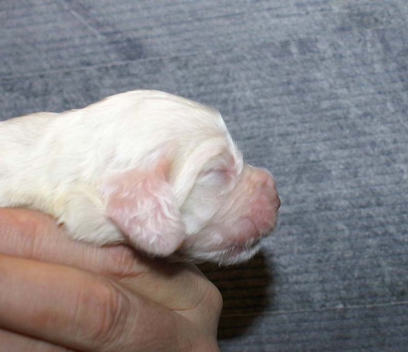 Boy_Green_Back_1week_a