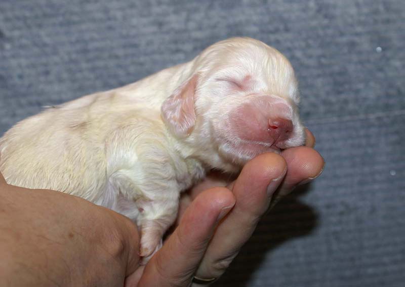 Boy_Green_Back_1week_b