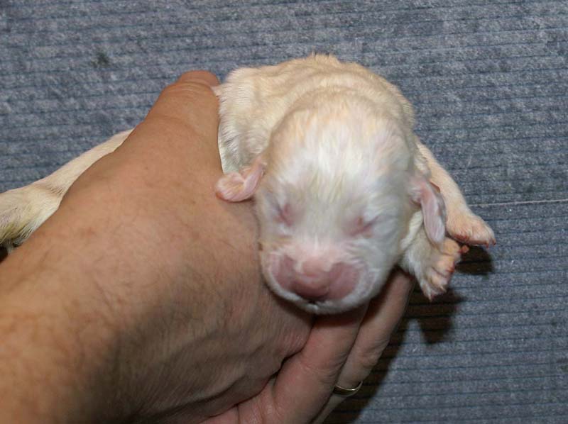 Boy_Green_Back_1week_c