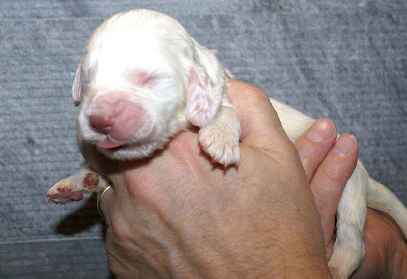 Boy_Green_Back_1week_f