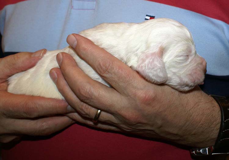 Boy_Green_Back_2weeks_a