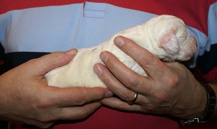 Boy_Green_Back_2weeks_c