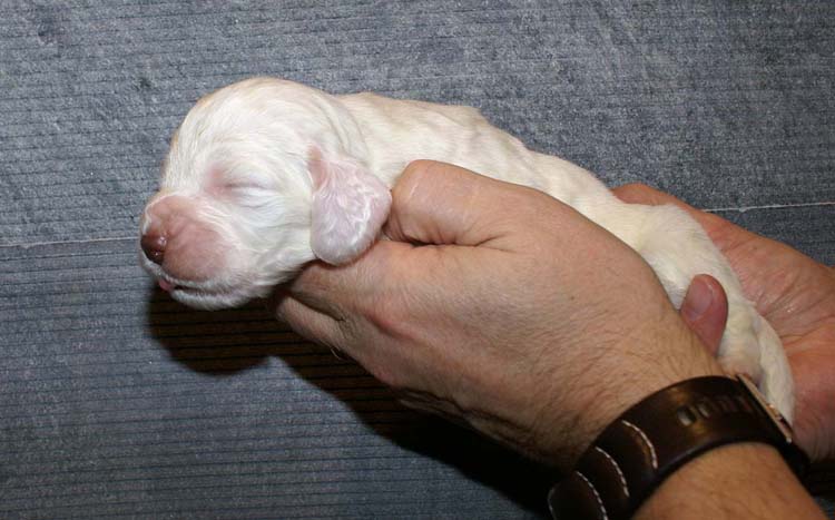 Boy_Green_Back_2weeks_e