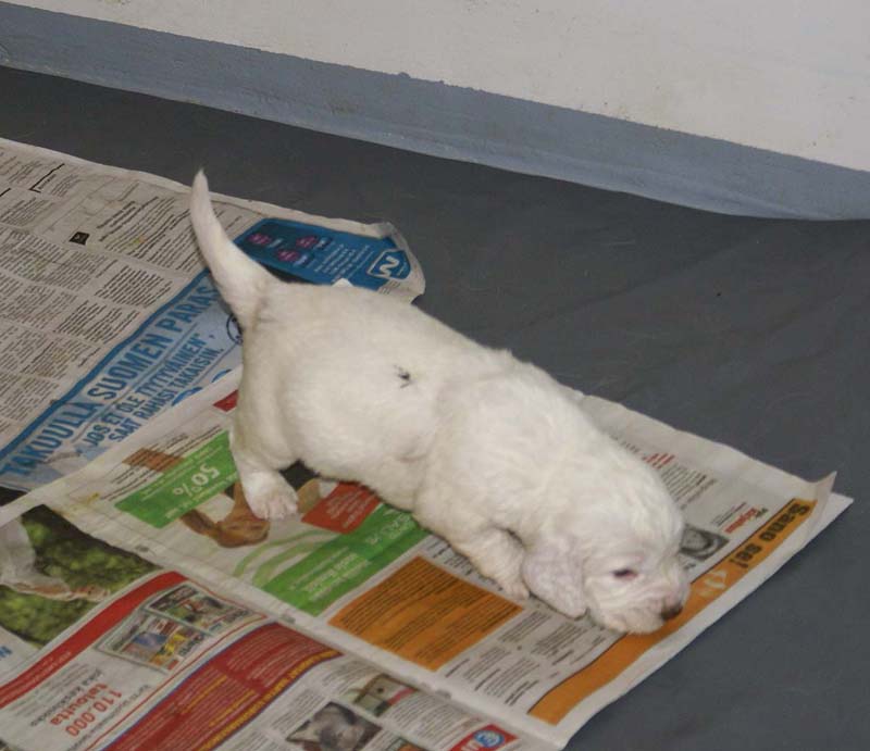 Boy_Green_Back_3,5weeks_a