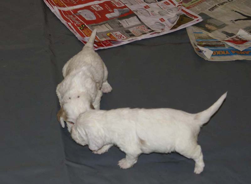 Boy_Green_Back_3,5weeks_b