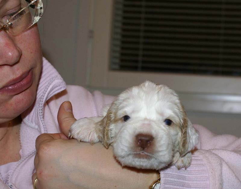 Boy_Bronze_Head_3weeks_e