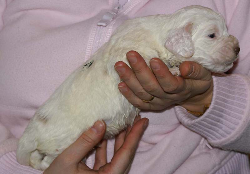 Boy_Green_Back_3weeks_a